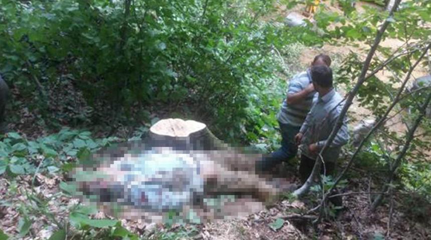 Feci &ouml;l&uuml;m! Ağacı kesmek istedi...