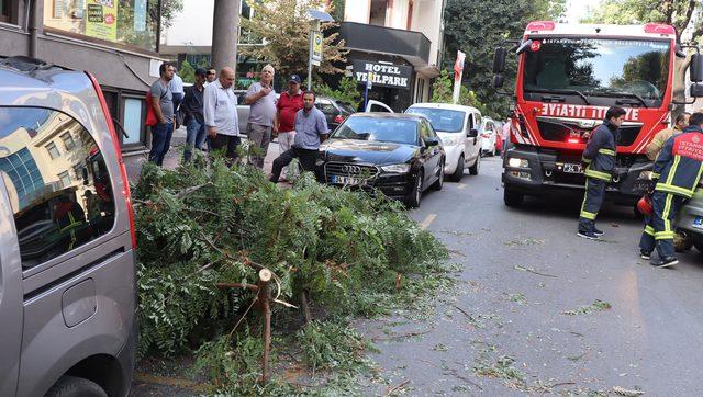 Fatih'te şiddetli rüzgar; ağaç dalları araçların üzerine düştü