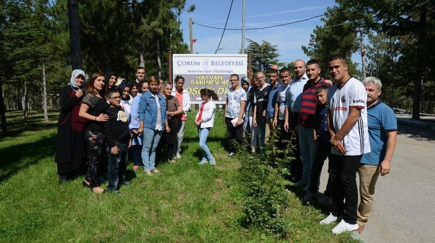 Öğrenciler belediye hayvan parkı’nı gezdi