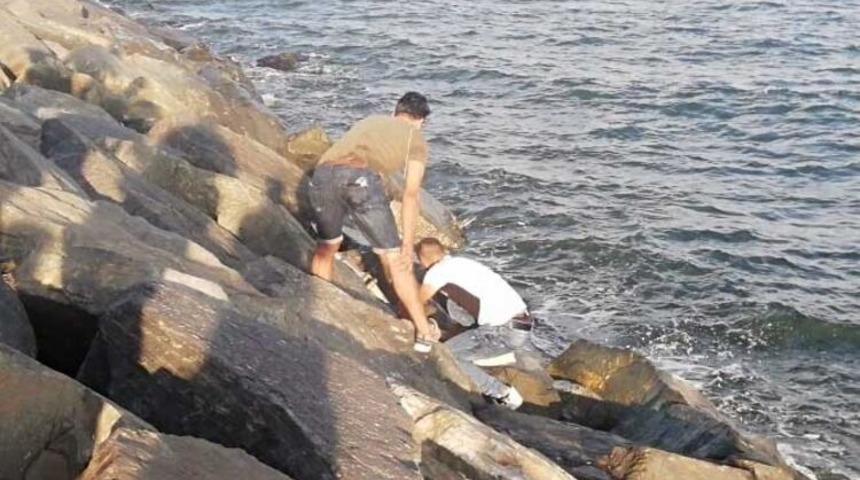 Avcılar'da hareketli anlar! Kayalıklarda yürüyordu...