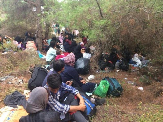 Ayvalık’ta 48 göçmen 3 organizatör yakalandı
