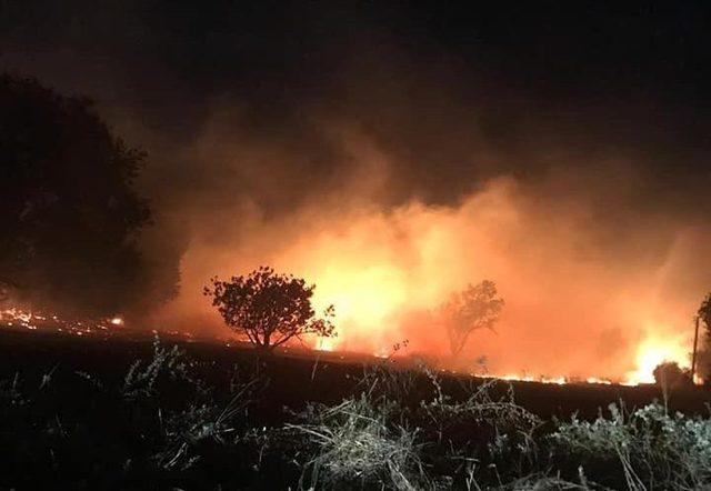 Ortaca’daki yangına şiddetli rüzgar nedeniyle güçlükle müdahale ediliyor