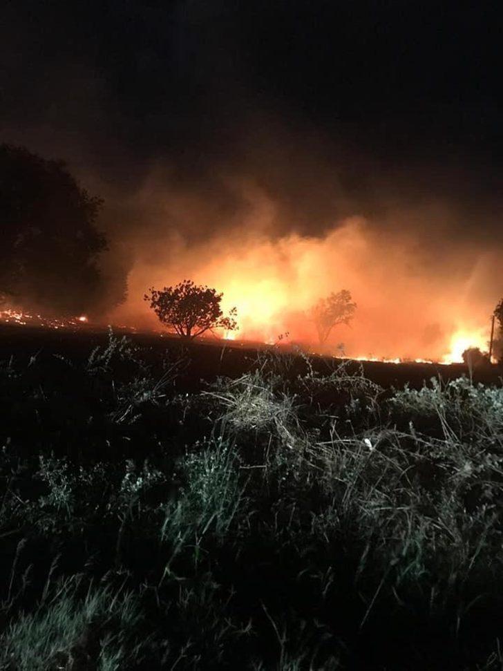 Muğla Ortaca'da orman yangını! G1