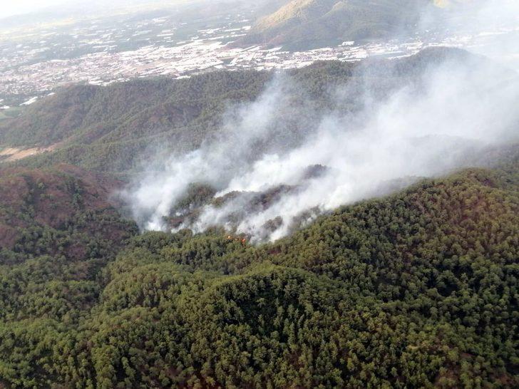 Muğla Ortaca'da orman yangını! G4