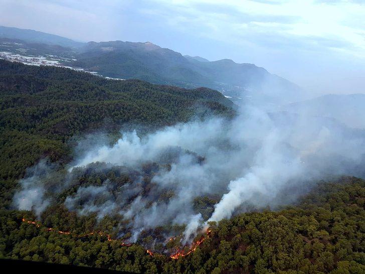 Muğla Ortaca'da orman yangını! G3