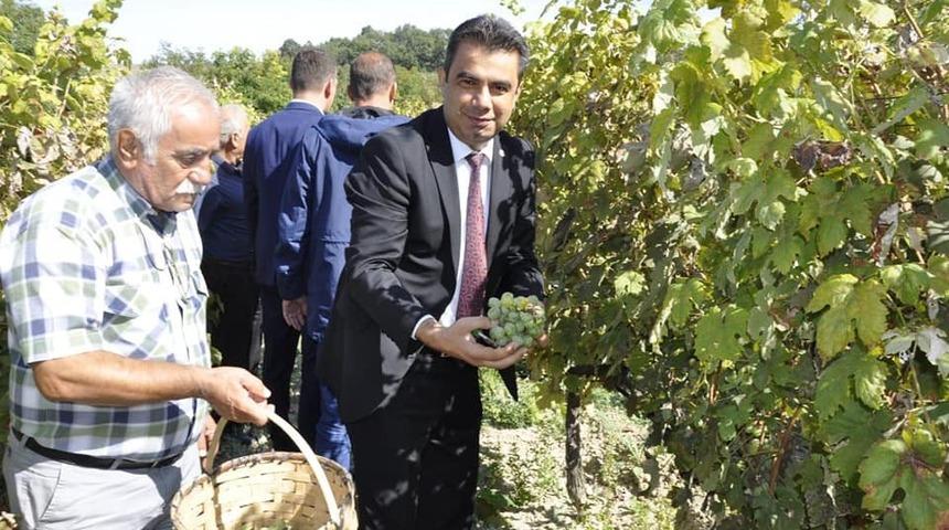 Safranbolu&rsquo;da "bağ bozumu"