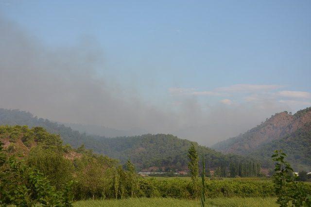 Ortaca’daki yangına havadan müdahale devam ediyor