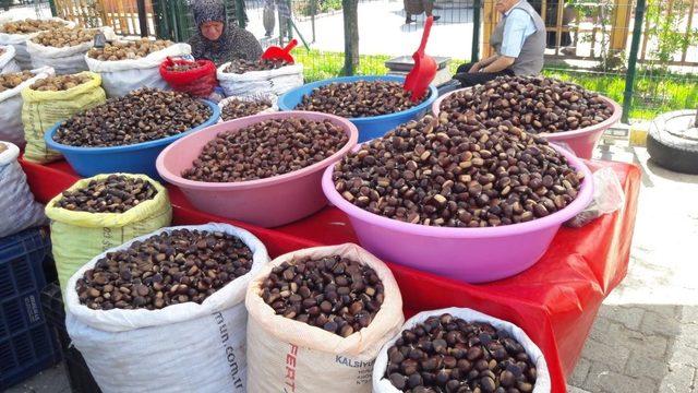 Sinop’un meşhur Erfelek kestanesi tezgahlarda