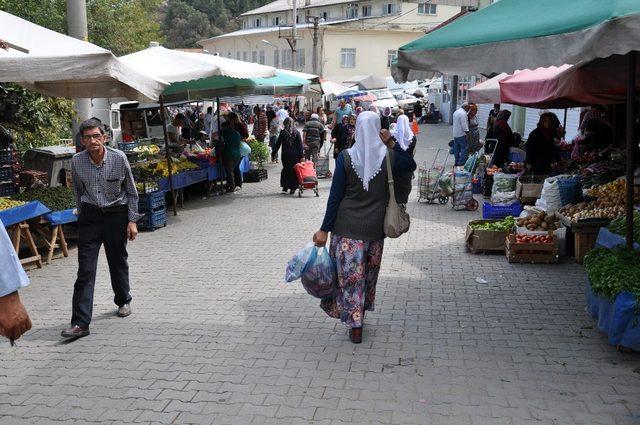 Ata tohumlarıyla yetiştirilen organik ürünlere ilgi