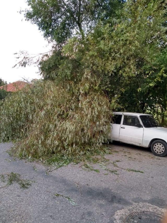 Ağaç dalları devrildi, otomobiller hasar gördü