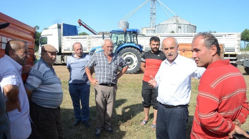 Ayçiçeği üreticileri fiyatlardan memnun değil