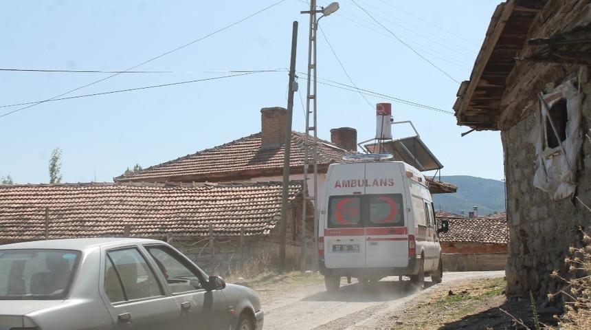 Tosya&rsquo;da cevizden d&uuml;şen kişi yaralandı