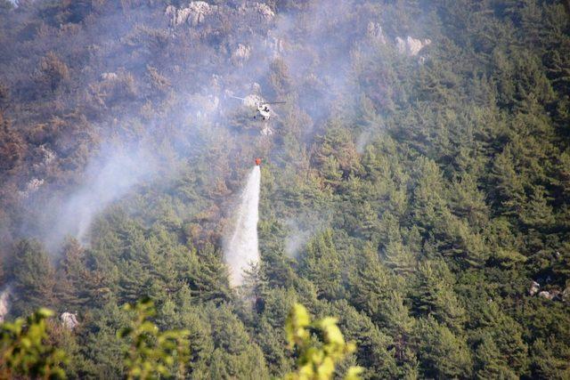 Tarım ve Orman Bakanlığı bugün çıkan yangınlarla ilgili açıklama yaptı