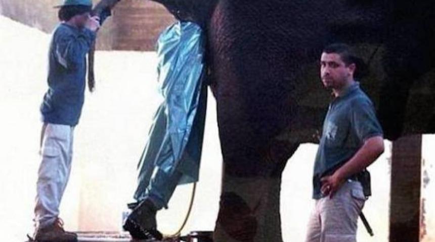 Halinize ş&uuml;krettirecek d&uuml;nyanın en zor 10 işi