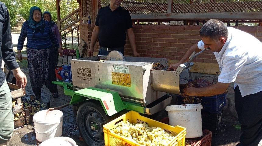 &Uuml;z&uuml;m diyarında pekmez yapımı başladı