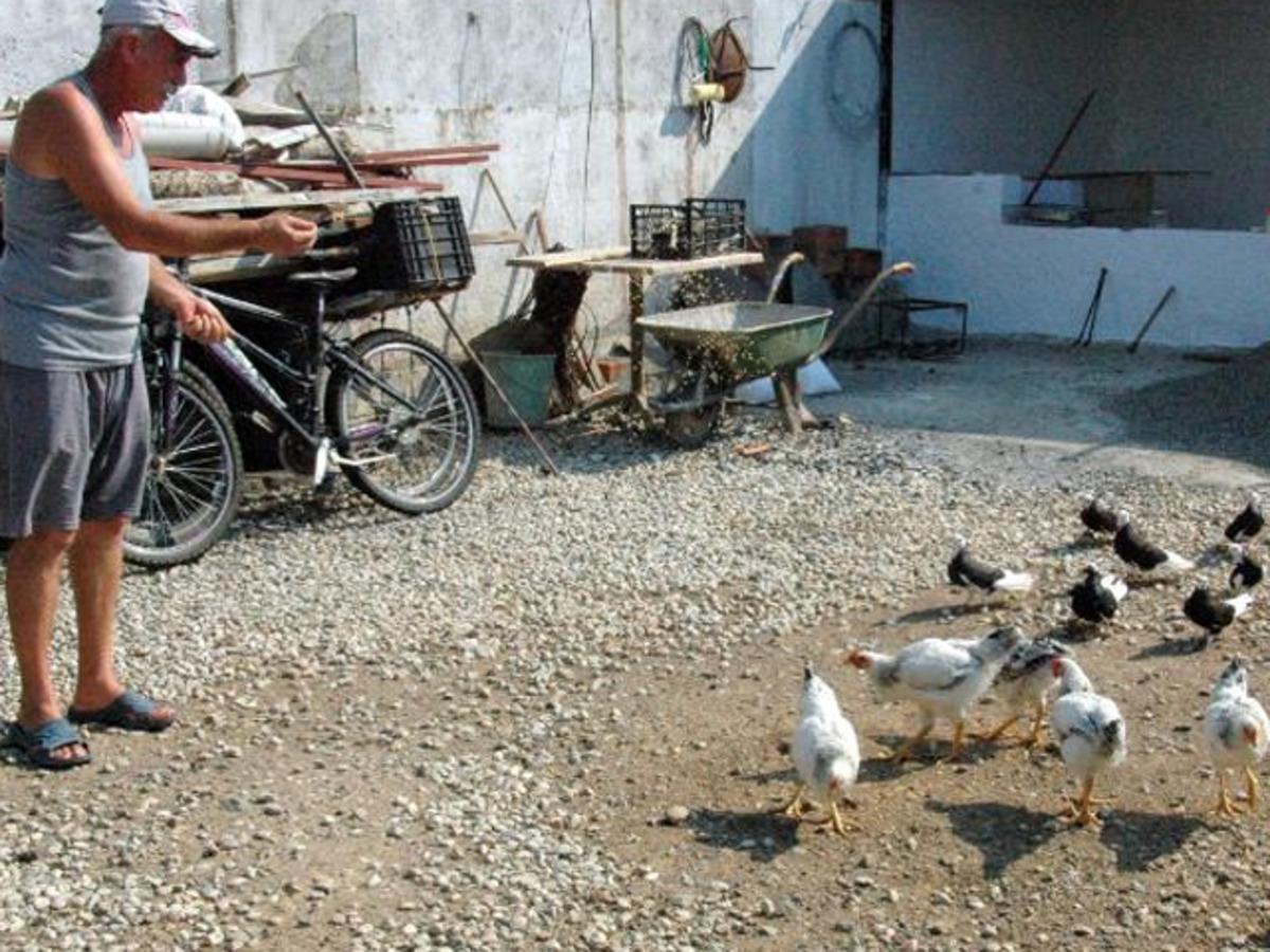 Din&ccedil;er ailesinin izlediği film hayatlarını değiştirdi