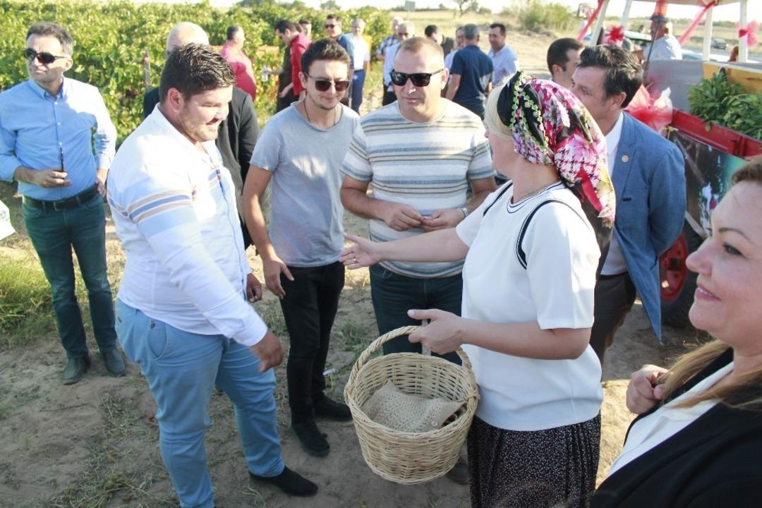 Bağ bozumuna davullu zurnalı kutlama