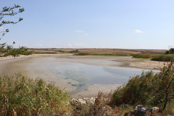Kırklareli'nde göletteki sular çekildikçe telef olan balık sayısı artıyor G1