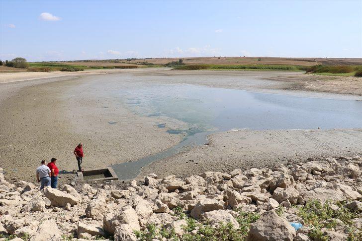 Kırklareli'nde göletteki sular çekildikçe telef olan balık sayısı artıyor G2