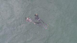 Denizden çıkanlar görenleri şaşırttı