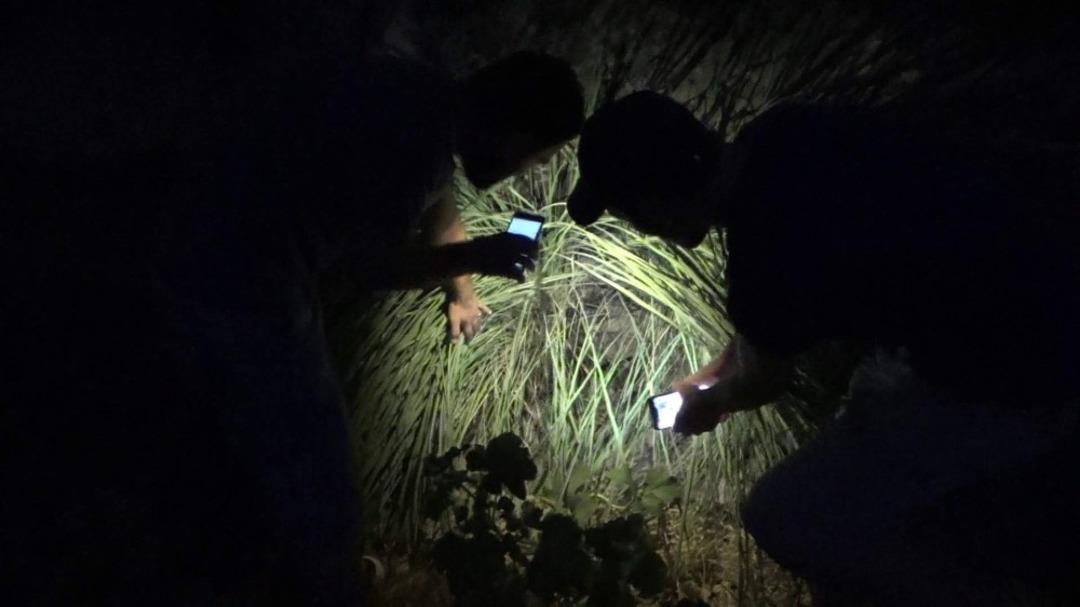 Kayalıklarda mahsur kalan yavru kedi i&ccedil;in seferber oldular