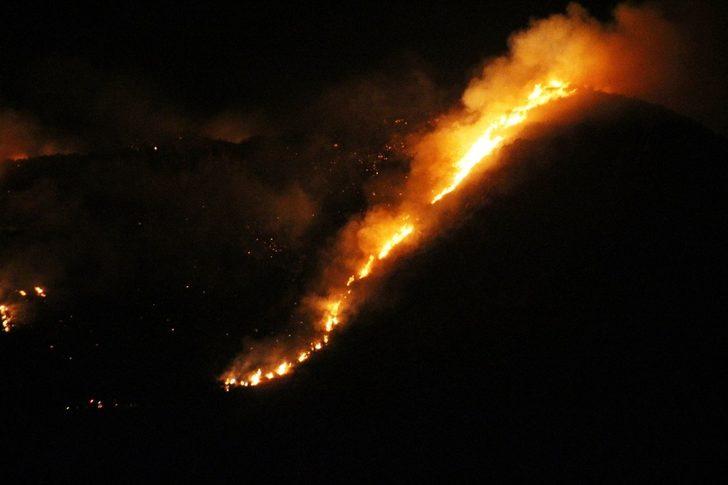 Muğla'nın Bodrum ilçesinde makilik alanda yangın çıktı G2