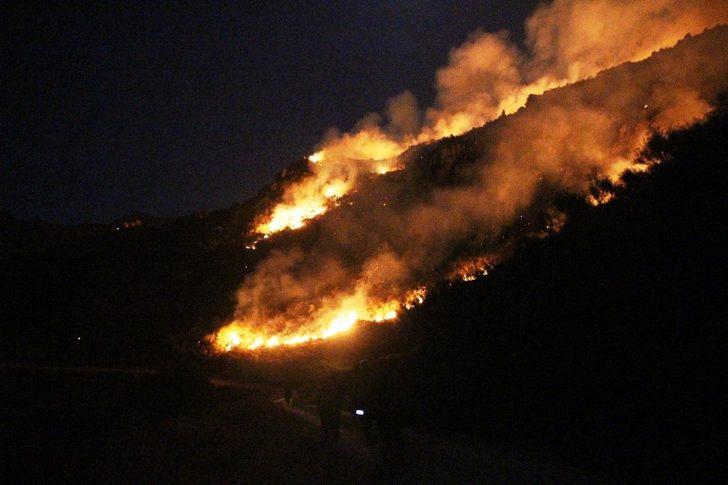 Muğla'nın Bodrum ilçesinde makilik alanda yangın çıktı G4