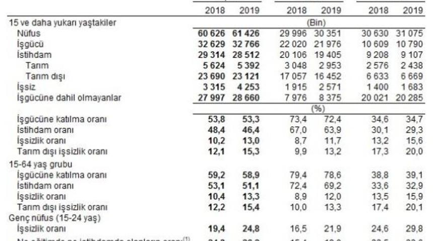 TÜİK- İşsizlik yüzde 13'e, tarım dışı işsizlik yüzde 15.3'e çıktı (2)