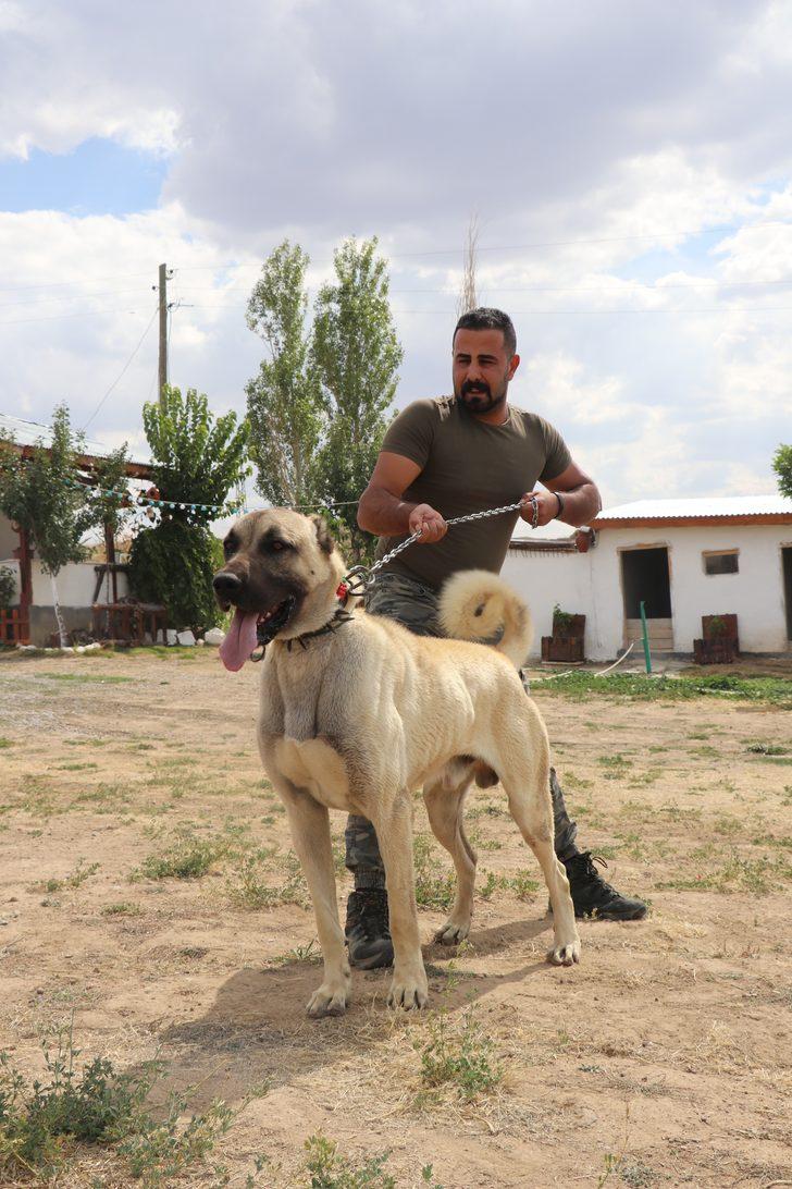 Kangallara yeni görev! Sınırlarda kullanılacak G5