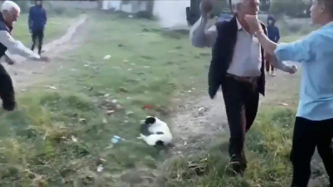 Köpeğe taş, çocuğa tokat attı!