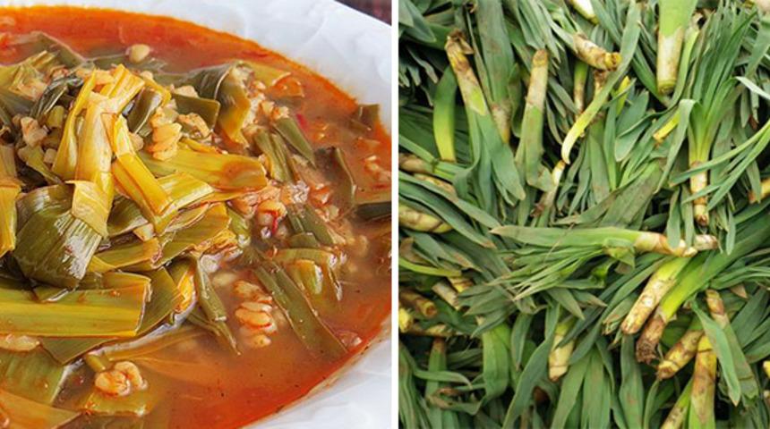 Doğu Anadolu'nun Şifalısı: Çiriş Otunun Saymakla Bitmeyen Faydaları!