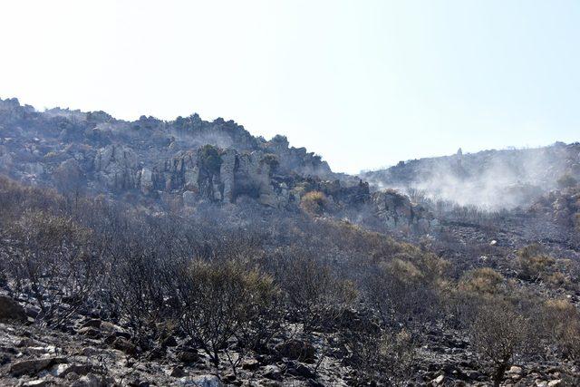 Bodrum'da 10 hektar yandı; yeşil siyaha büründü