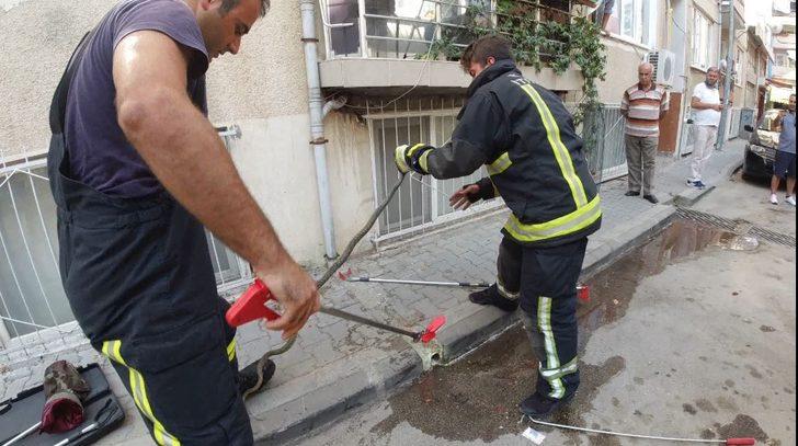 Bursa'da mahallede yılan operasyonu!  G1