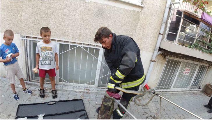 Bursa'da mahallede yılan operasyonu!  G3