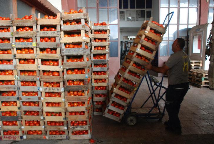 Rusya'ya domates ihracatı 2019'da yüzde 186 arttı
