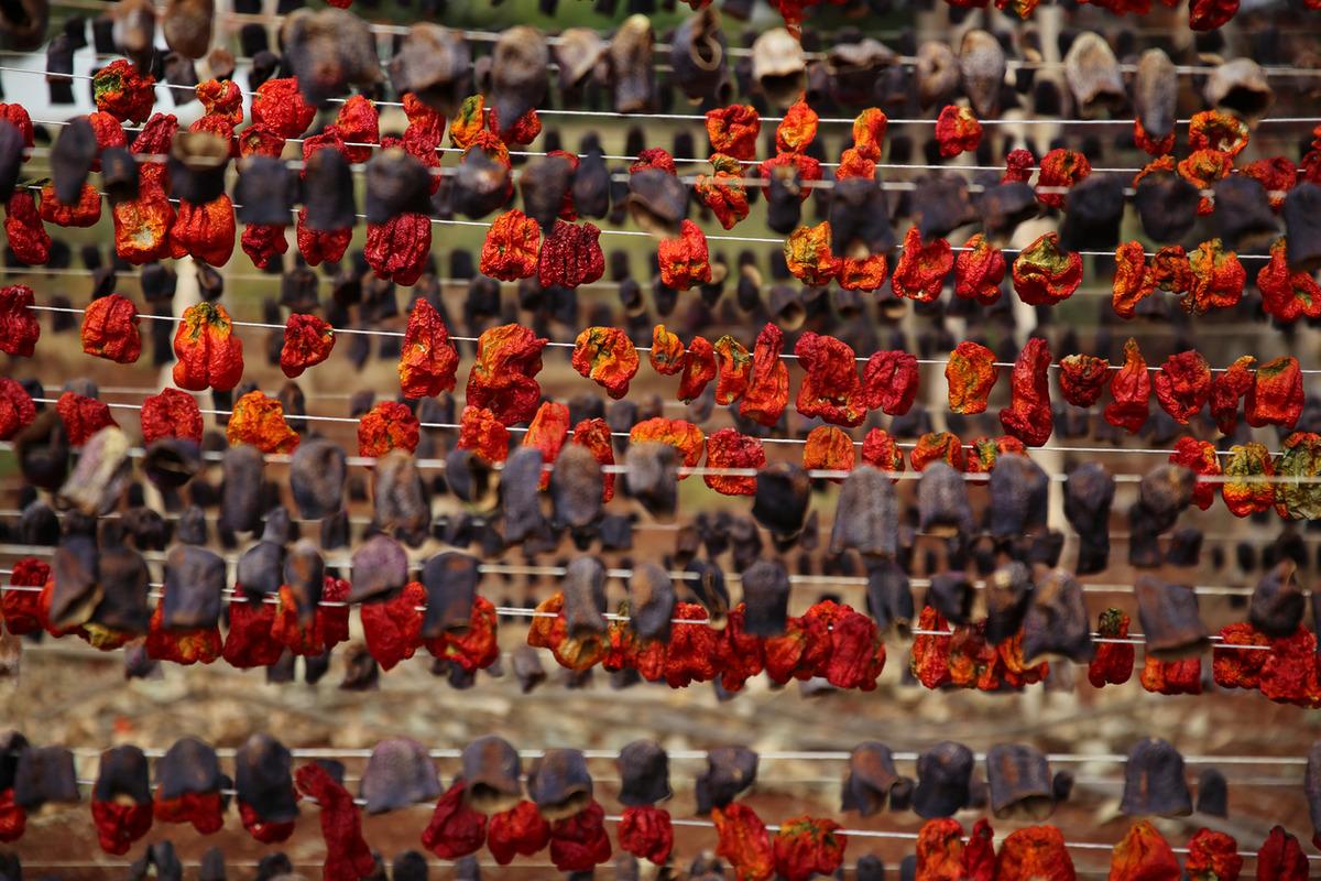 El yapımı kurutmalıklar tarihi &ccedil;arşıları s&uuml;sl&uuml;yor