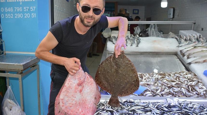 Balıkçıların yüzü kalkan balıklarıyla güldü