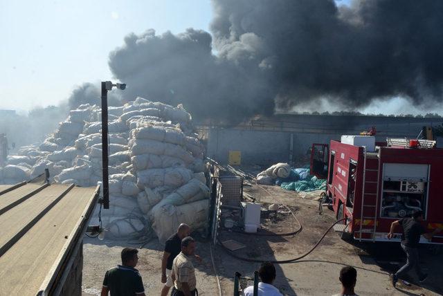Arazide çıkan yangın; hurdalık, depo ve seralara sıçradı (2) - Yeniden 1