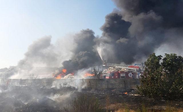 Arazide çıkan yangın; hurdalık, depo ve seralara sıçradı (2) - Yeniden 3