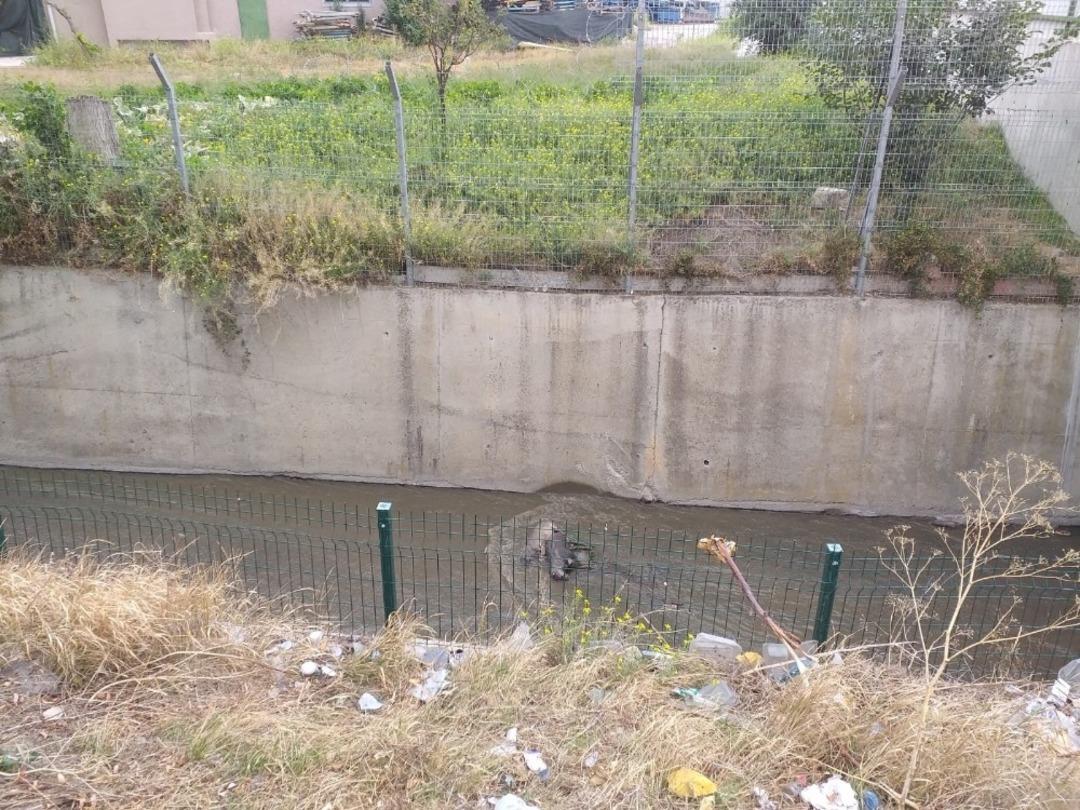 Başkent&rsquo;te 3 k&ouml;pek zehirlenip su kanalına atıldı