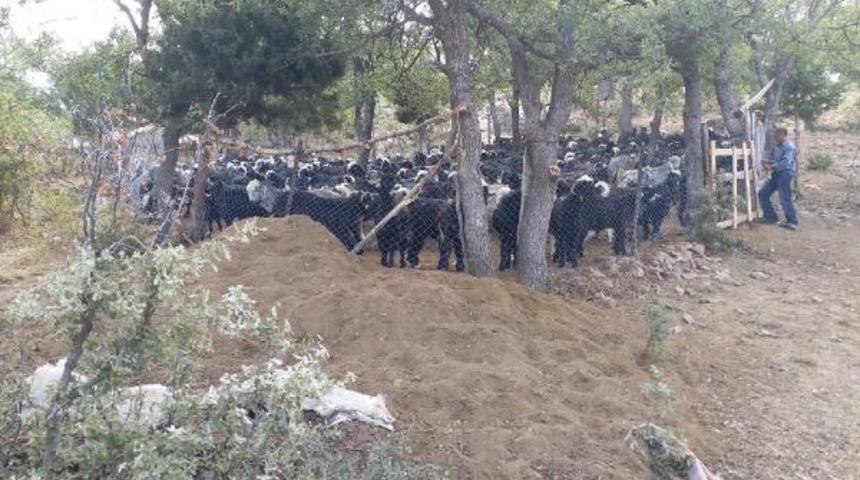 Kaldığı çadırda ölü bulunan Afgan çoban cinayete kurban gitmiş