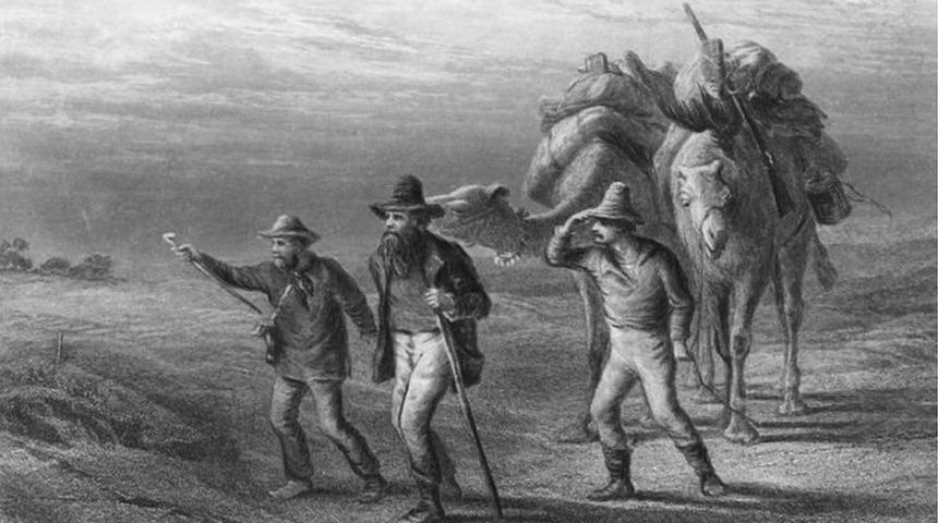 İnsanlar zehirli bitkileri pişirmeyi nasıl &ouml;ğrendi?