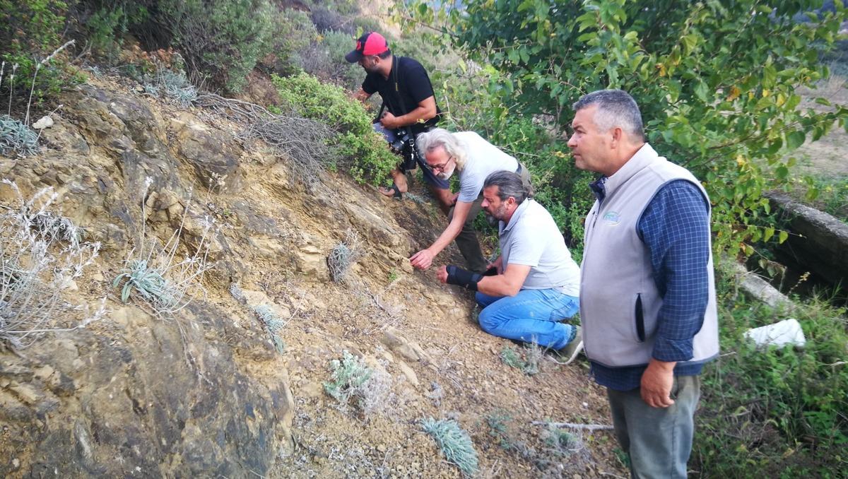 İznik'te muhteşem keşif! &Ccedil;ift&ccedil;i buldu