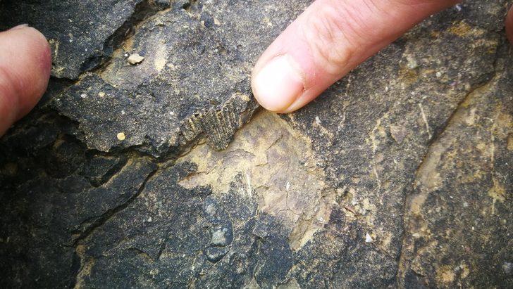 İznik'te muhteşem keşif! Çiftçi buldu G4