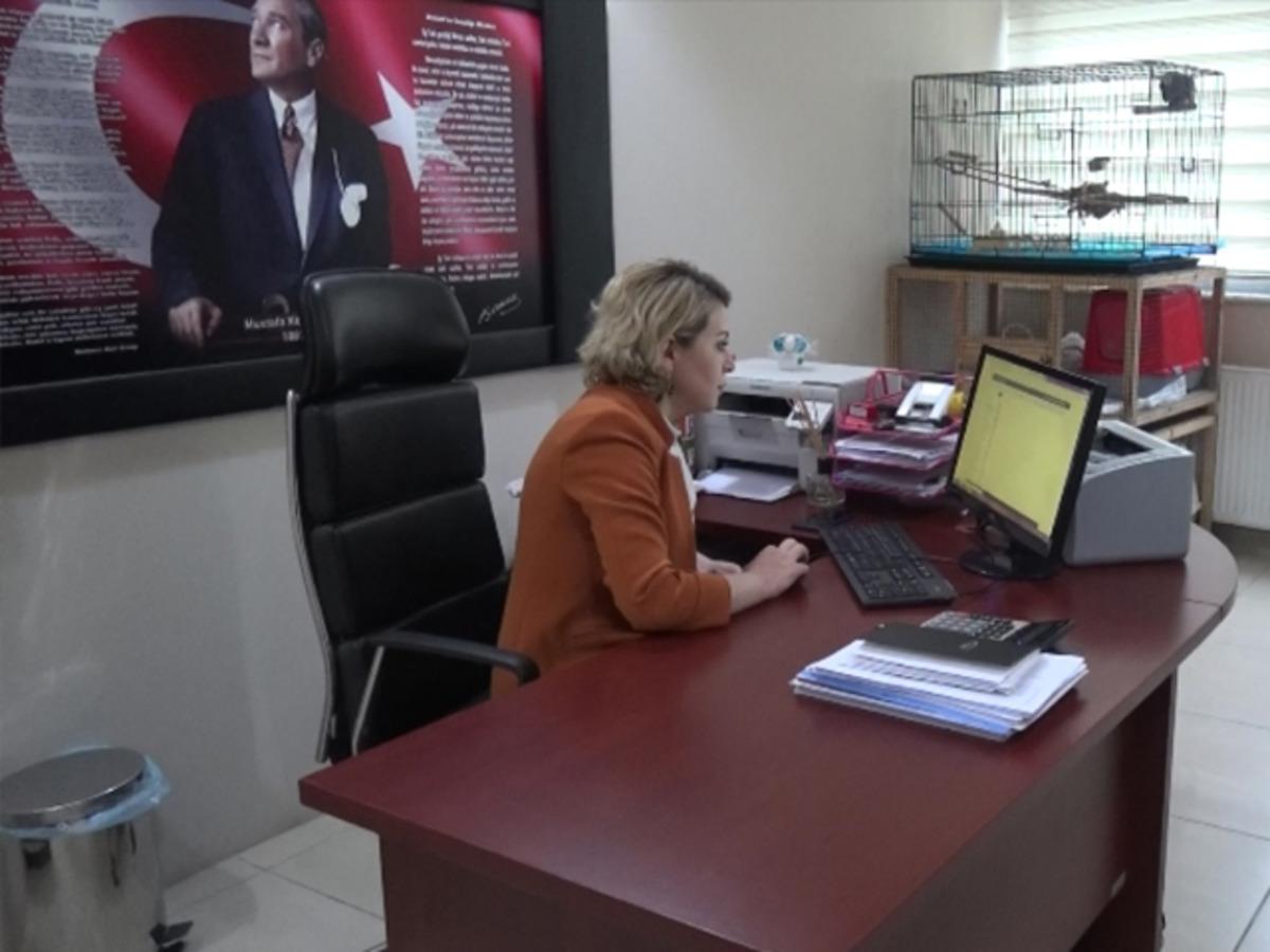 Rize'de makam odasında yaralı hayvanlara bakan m&uuml;d&uuml;r yardımcısına ceza! 