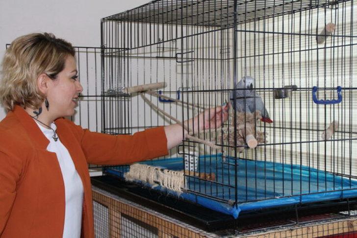 Rize'de makam odasında yaralı hayvanlara bakan müdür yardımcısına ceza!  G2