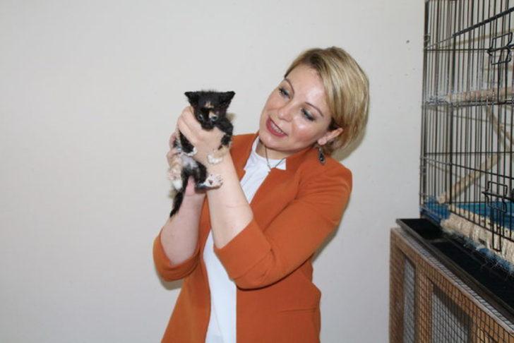 Rize'de makam odasında yaralı hayvanlara bakan müdür yardımcısına ceza!  G3