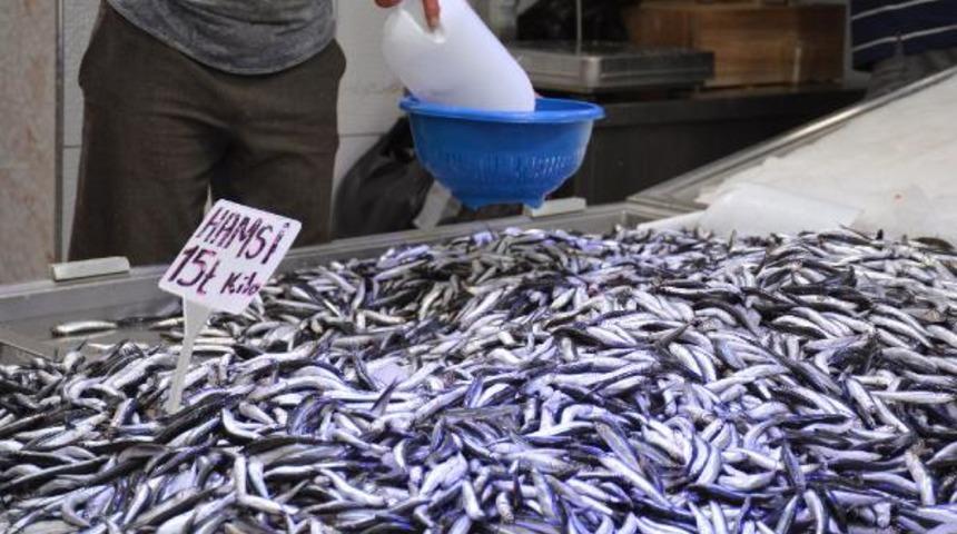 Karadeniz'de hamsi bolluğu