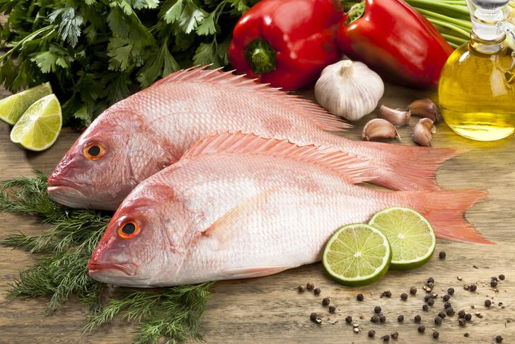 Balık sezonuna merhaba! Eylül ayında hangi balıklar yenilebilir? G5