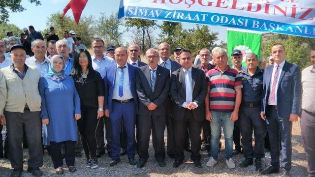 Simav'da vişne ve kiraz yerine goji berry